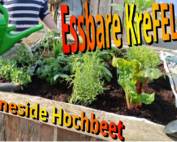 Essbares KreFELD Hochbeet