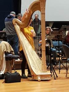 MMiK meets Orchestra Probe (Harfe)