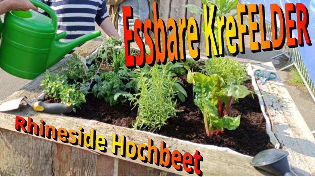 Essbares KreFELD Hochbeet